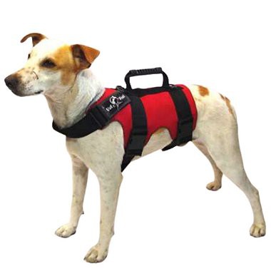 Colete de Tração Torácico