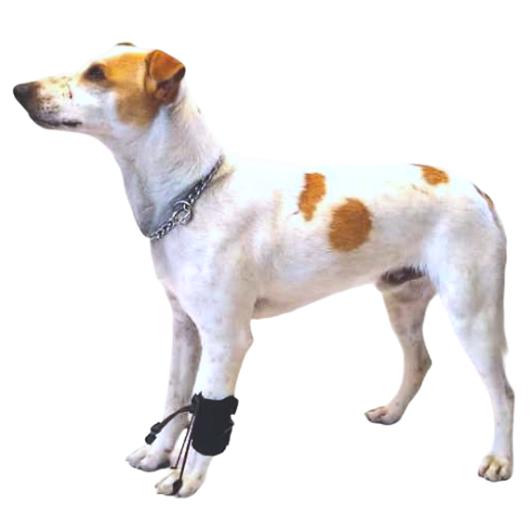 Protetor com Proprioceptor Carpo (PAR)