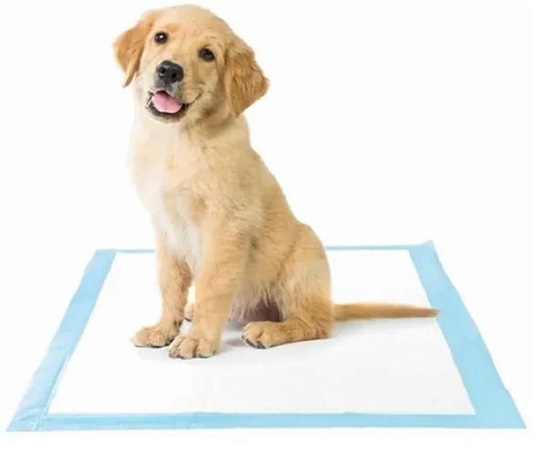 Tapete Higiênico Para Pets 60x 60 Cm C/ 20unidades Cachorro e Gato - Charmy  Tay