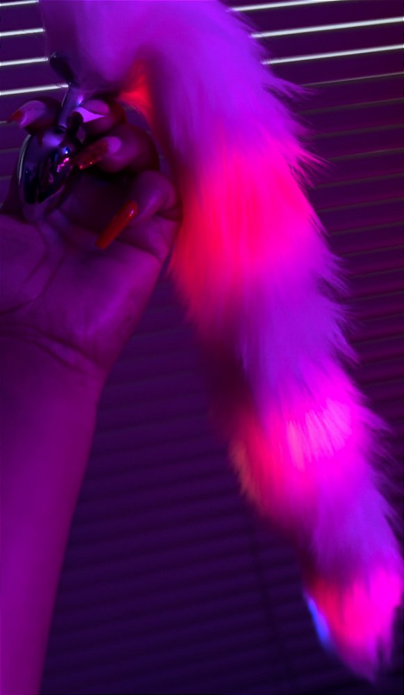 Plug Anal de Rabo Pisca Pisca