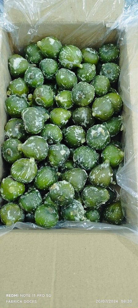 FIGO GLACEADO ARTESANAL CAIXA 3KG ATACADO