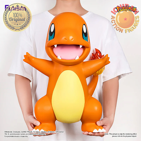 CHARMANDER POKÉMON 1/1