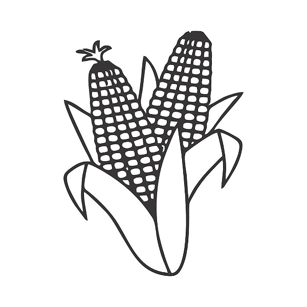 ESPIGA DE MILHO DUPLA