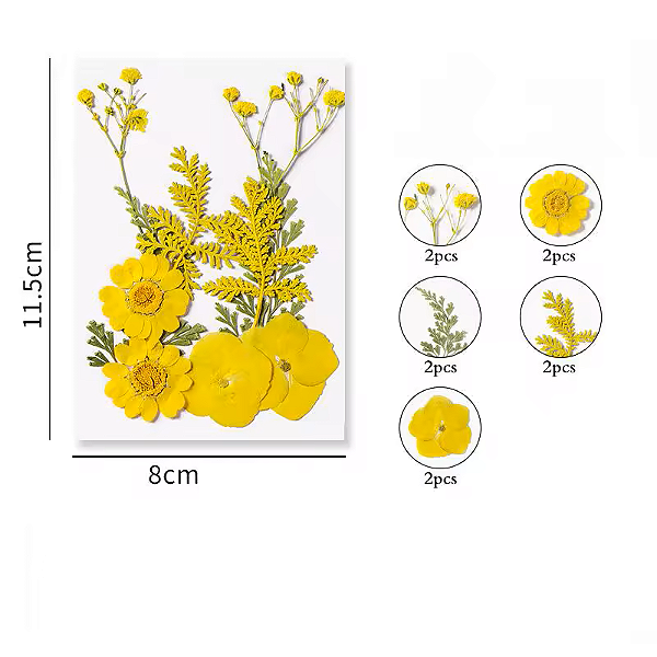 Flor Seca Amarela Cartela