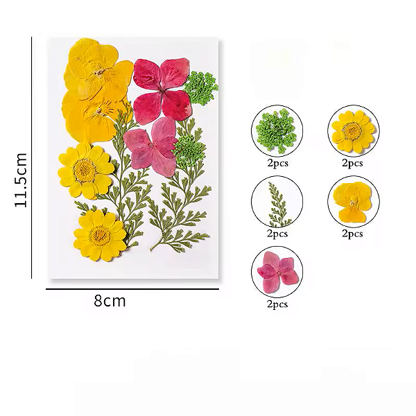 Flor Seca Rosa e Amarela Cartela