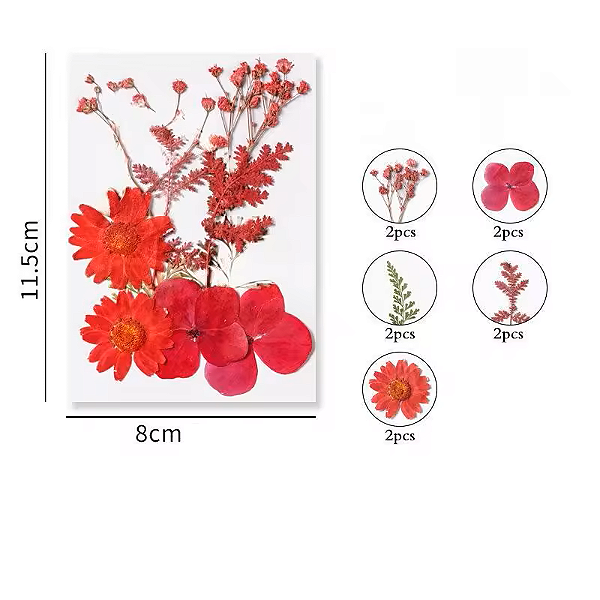 Flor Seca Vermelha Cartela