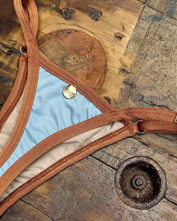 Calcinha Regulável Biquíni Leblon Azul com Dourado