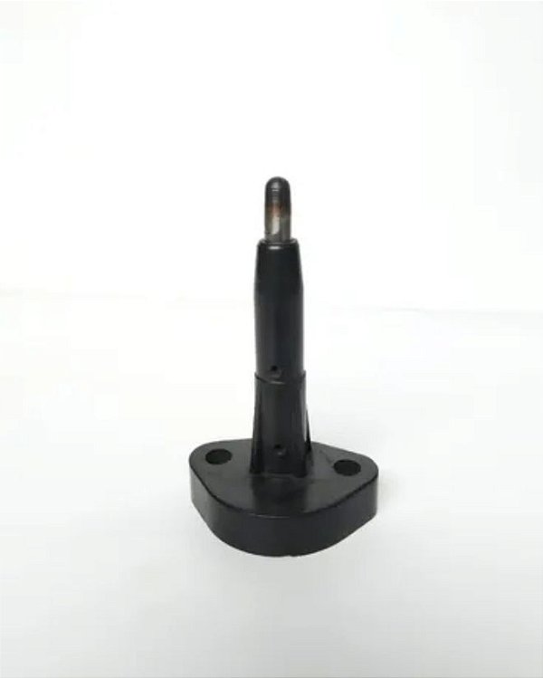 Haste de pressão, bomba de combustível com Alt, (100 mm)