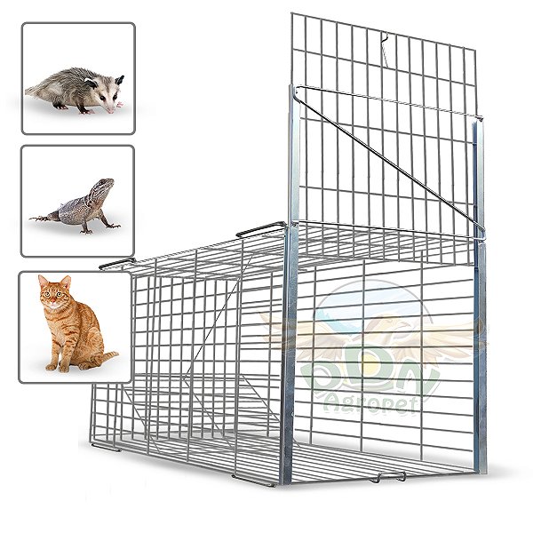 Armadilha Desmontável Gatoeira Pegar Gatos Gambás Lagarto