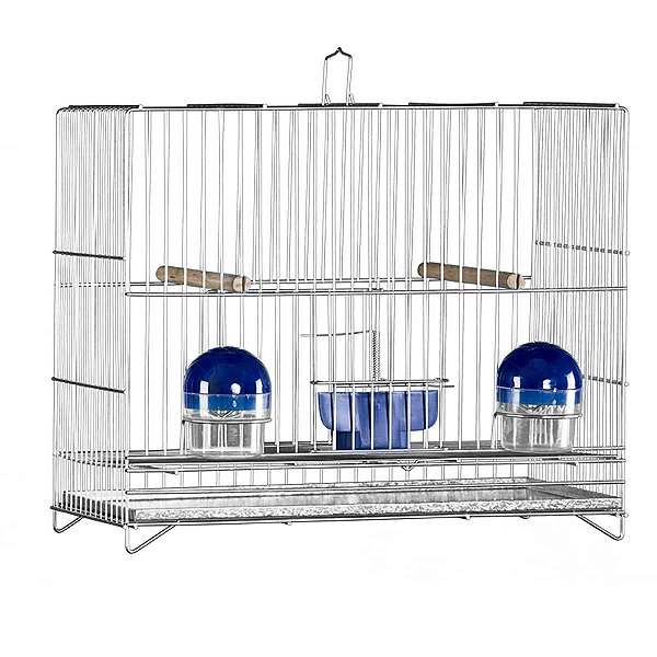 048 – Gaiola Exposição Porte