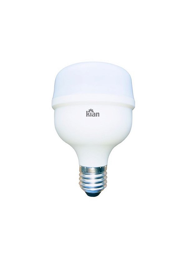 Lâmpada Led Kian Globe 30W Biv E-27 (Luz Branca)