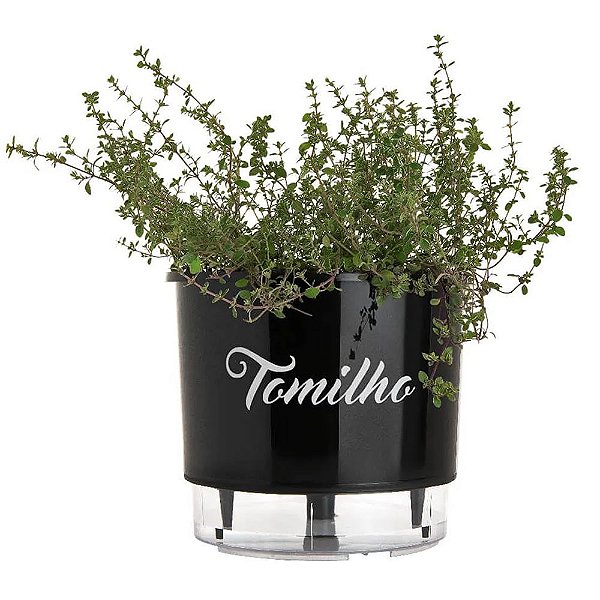 Vaso Raiz Autoirrigável Médio Preto Horta Plantar Tempero Tomilho