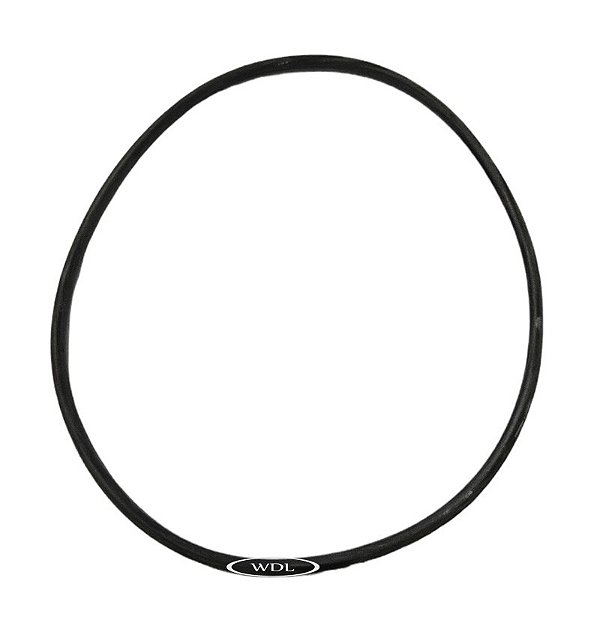 0029975148 - ANEL FLANGE PINHÃO 2213/2216