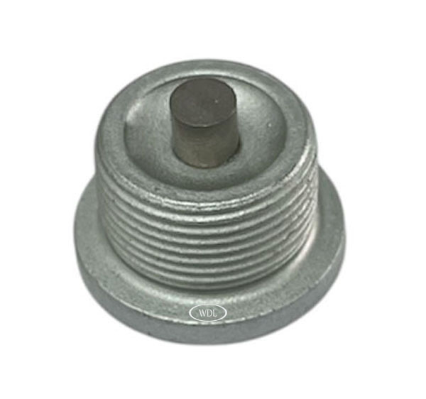 2109970032, 9909900117 - BUJÃO ÓLEO CÂMBIO C/IMÃ - G-60/85/210/240
