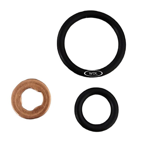 0055862221 - REPARO PORTA INJETOR OM 457/904/906/924/926