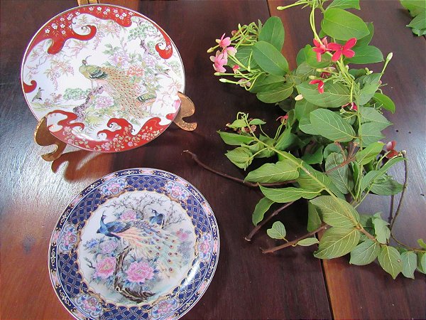Pratos Orientais faisões  rica borda guirlandas florais