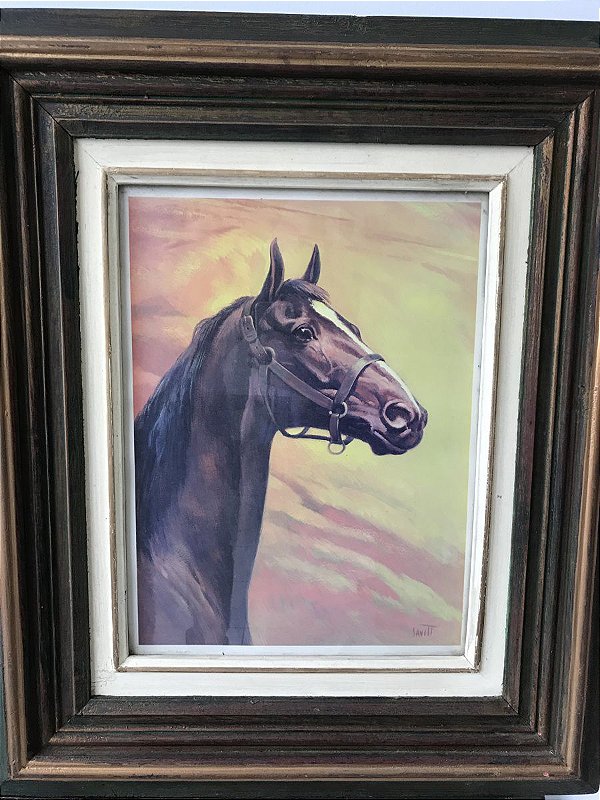 Quadro gravura americana cavalos Sam Savitt 1917/2000