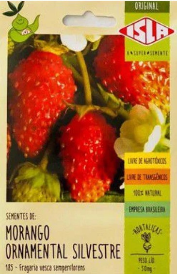 Morango Ornamental Silvestre