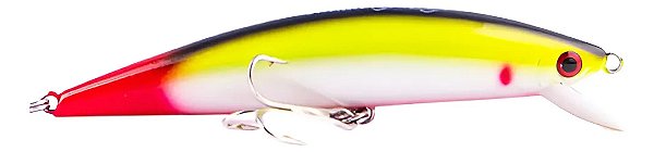 Isca Artificial Nelson Nakamura Borá 12