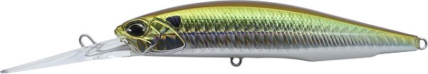 Isca Artificial Duo International Realis Jerkbait 100DR