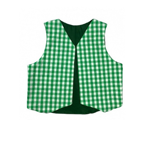 Colete Quadrilha/junina/caipira/são João Infantil -  verde