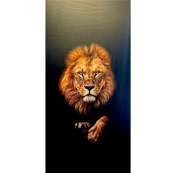 Painel Retangular Leão Promoção