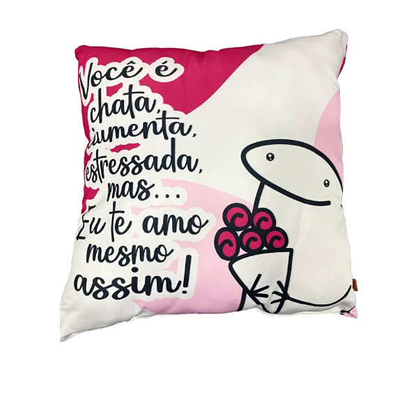 Almofada Cheia - Flork / você é chata