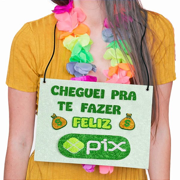 Placa Fantasia Carnaval - Cheguei para te fazer feliz pix