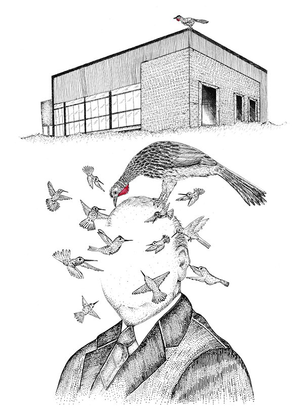 [Obra Original] Os pássaros