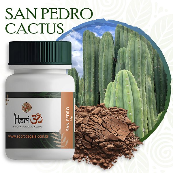 Rapé Cacto San Pedro