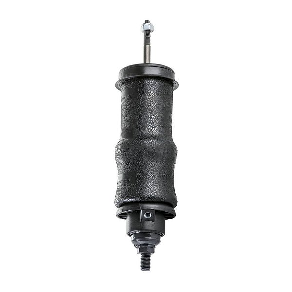 Conjunto Mola Pneumática Série S4 T 1998 Traseiro