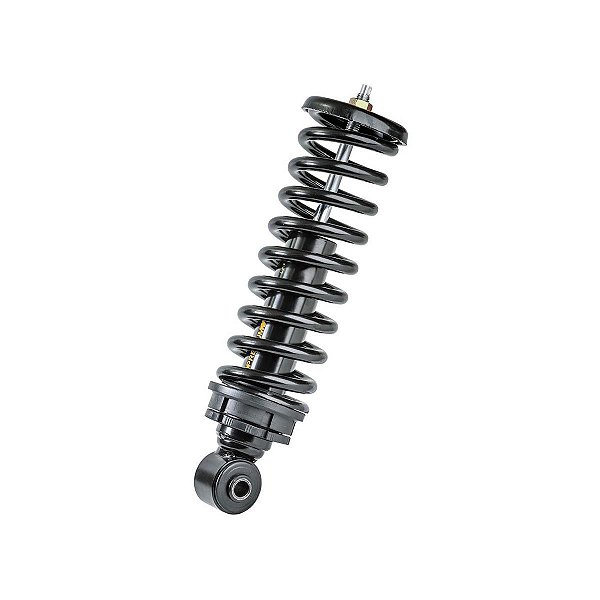 Bexiga Suspensão Cabine Série S4 S5 2004 a 2019 Traseiro