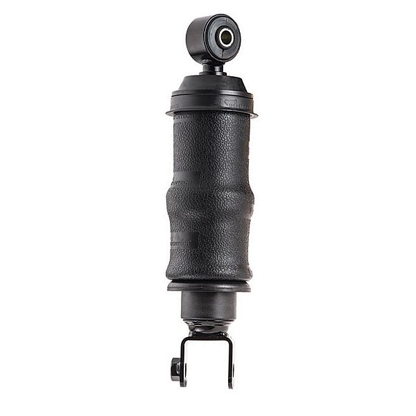 Conjunto Mola Pneumática Série 2012 2013 2014 a 2019 Diant.