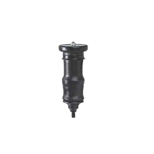 Bexiga Suspensão Cabine Série S4 R 1998 a 2001 2002 2003