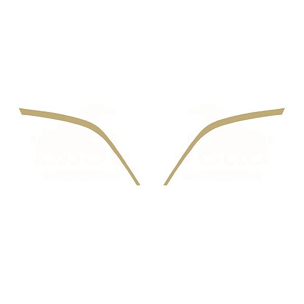 Aplique Moldura Entrada Ar Para Scania NTG R/S Dourado Par