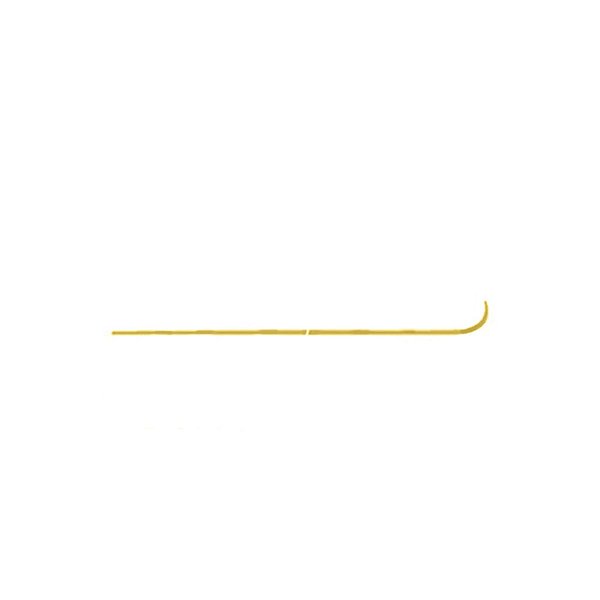 Moldura Vidro Porta/Lateral Cabine Para New FH Dourado
