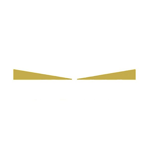 Aplique Inferior Aerofólio Para New FH Dourado