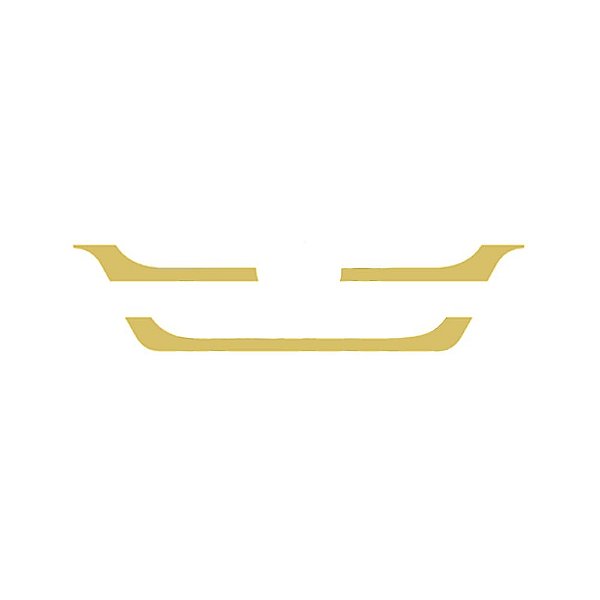 Jogo Aplique Máscara Grade Para Mercedes Axor Larga Dourado