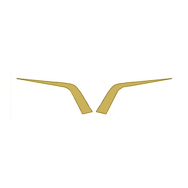 Moldura Frontal Grade - Dourado - Par - Para Daf XF