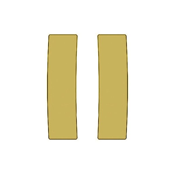 Aplique Canto Estribo Para Daf XF - Dourado - Par