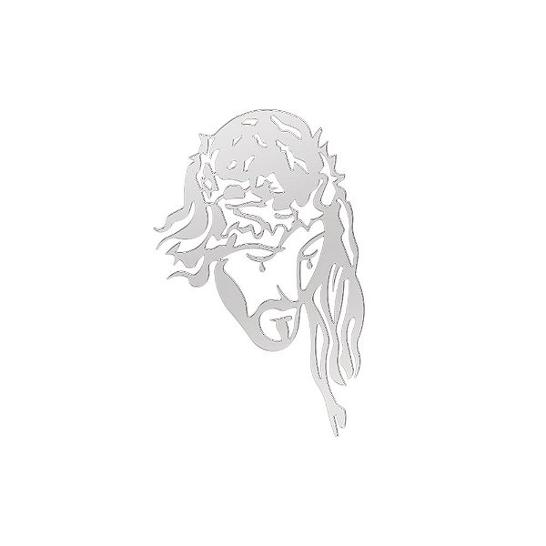 Acabamento de Inox Cristo 517 x 385mm Caminhão Lado Direito