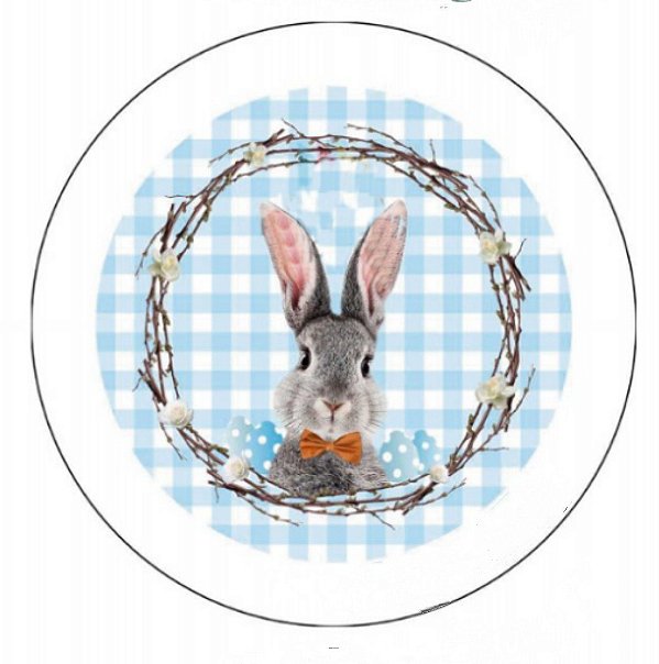 Capa de sousplat com estampa digital