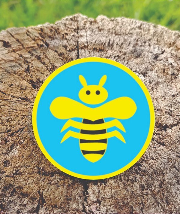 ARGANEL CLASSE ABELHINHAS