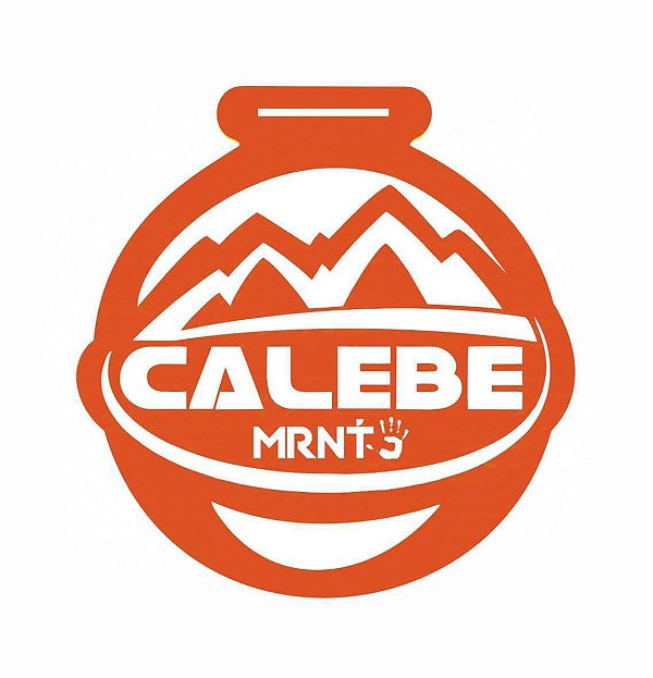 MEDALHA MISSAO CALBE 2025 VAZADA