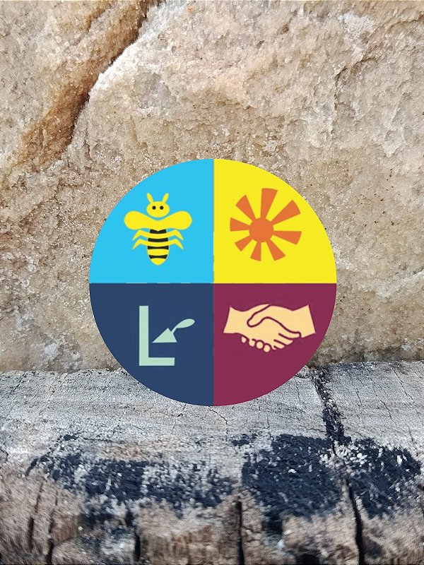 PIN CROCS CLASSES AVANÇADA AVT