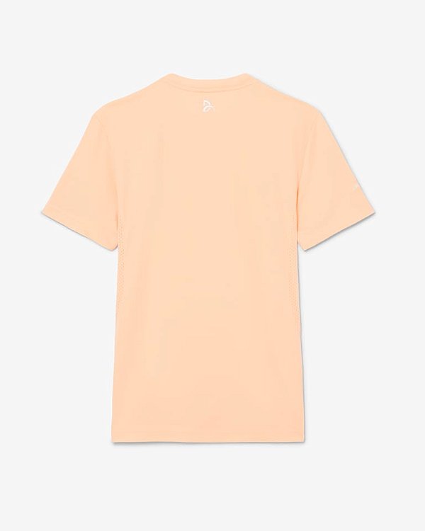 Camiseta Lacoste Novak Djokovic