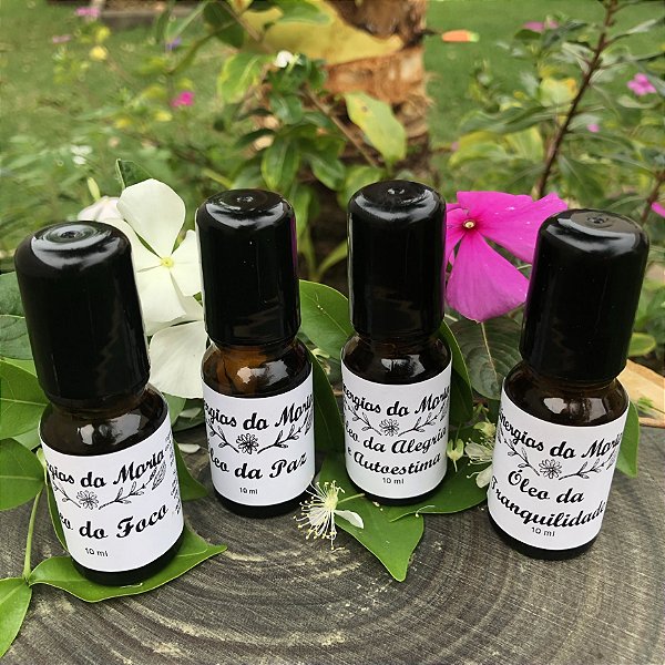 Kit Dia a Dia - Do Foco à Tranquilidade - Óleos em Roll on 10 ml