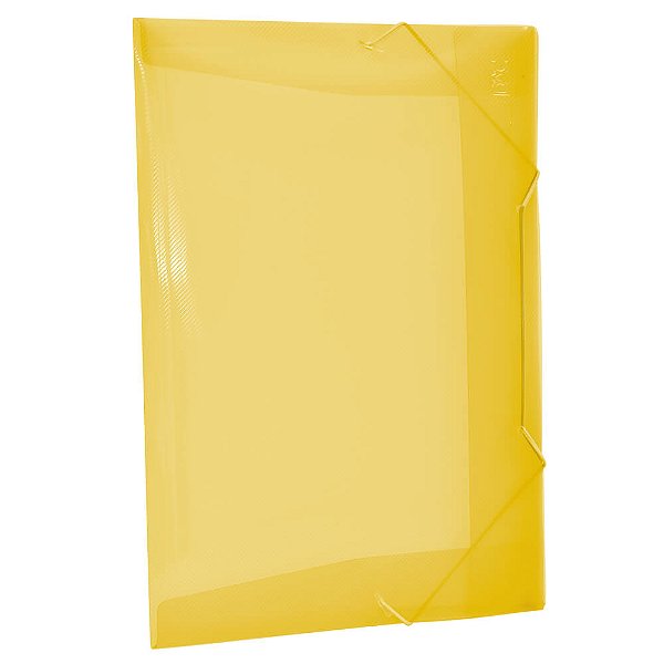PASTA COM ELASTICO  PCT10 501PP