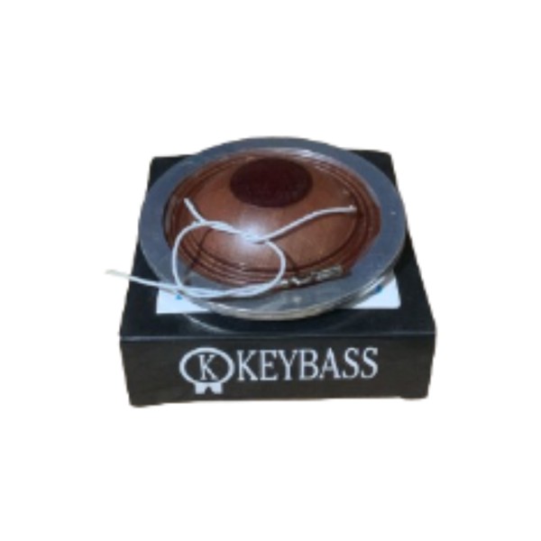Reparo Driver Keybass KD-202/205