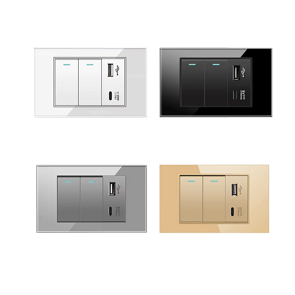 Interruptor 2 Teclas com Entrada USB e Tipo C Acabamento Premium Vidro Temperado 4x2